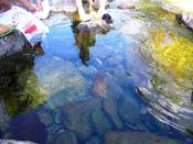 Immagine sofia 202.jpg